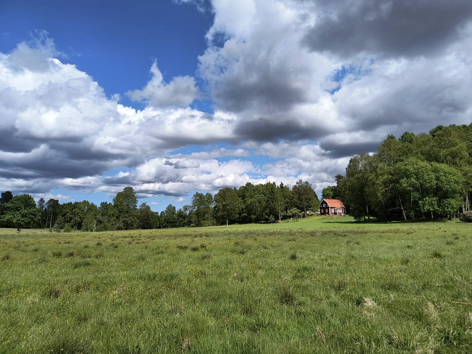 Open rural landscape with meadow, trees, and farmhouse